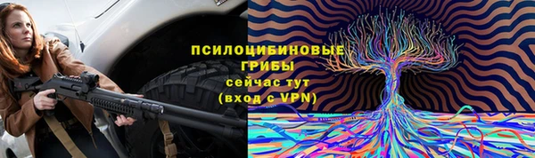 твердый Заволжск