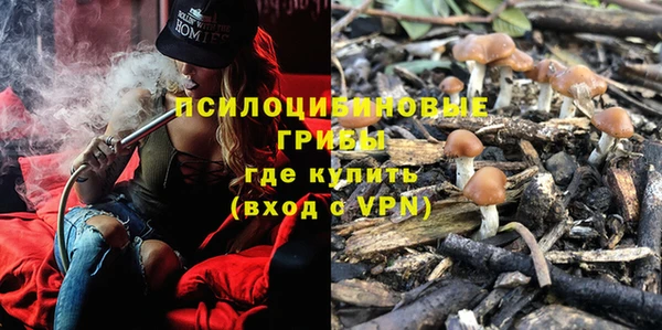 твердый Заволжск