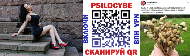 Купить где  Десногорск  Псилоцибиновые грибы Cubensis 
