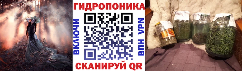 Бошки марихуана AK-47  Купить закладки  Десногорск 